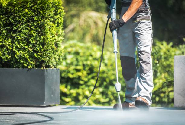 Animal Enclosure Cleaning in Wainaku, HI