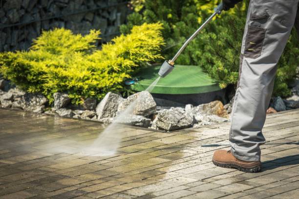 Best Animal Enclosure Cleaning  in Wainaku, HI